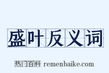 盛叶反义词是什么意思的图片